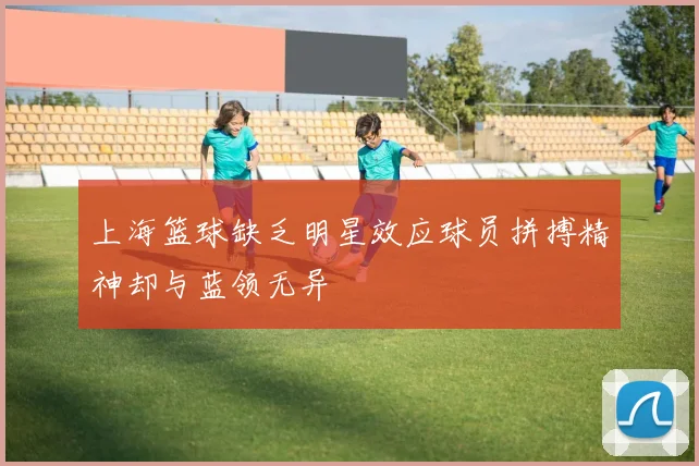 上海篮球缺乏明星效应球员拼搏精神却与蓝领无异