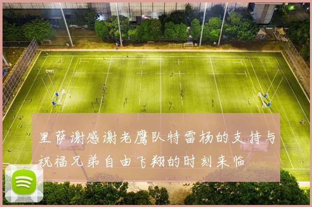 里萨谢感谢老鹰队特雷杨的支持与祝福兄弟自由飞翔的时刻来临
