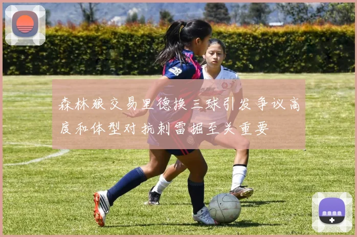 森林狼交易里德换三球引发争议高度和体型对抗刺雷掘至关重要