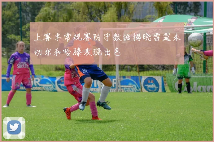 上赛季常规赛防守数据揭晓雷霆米切尔和哈滕表现出色